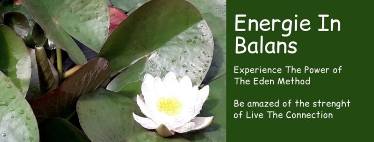 Facebook banner canva feb 2020 1 1 768x292