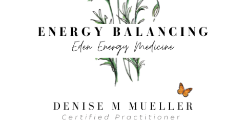 Poppy logo resized cropped 2 1 1