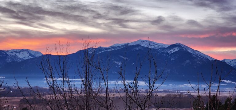 20240130 174703 768x359