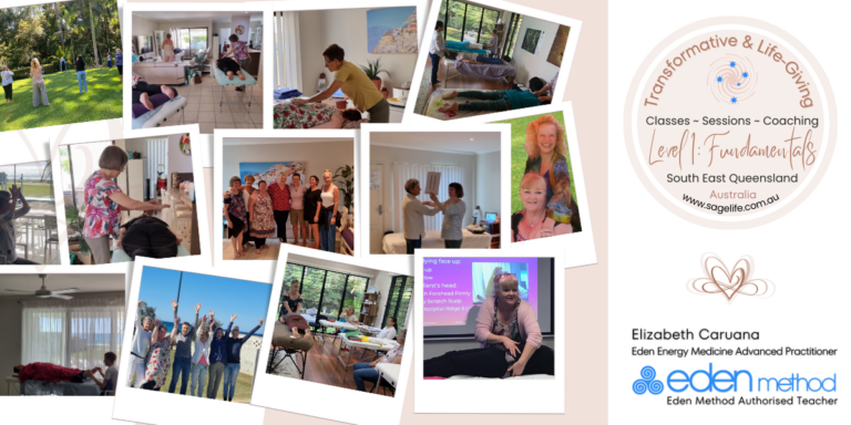 Practitioner Directory 768x384