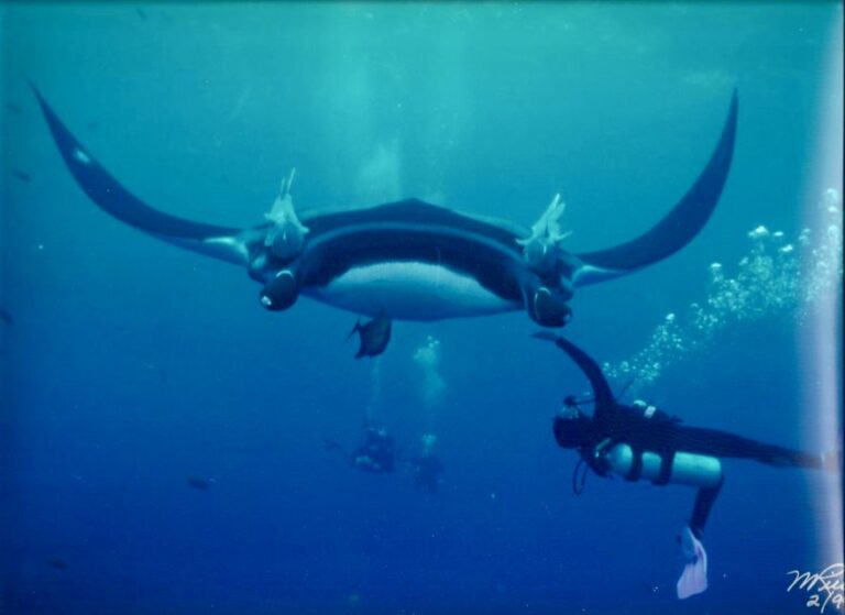 207E03D3 9975 477C 9F58 16F4C6428511 1 201 a 768x559