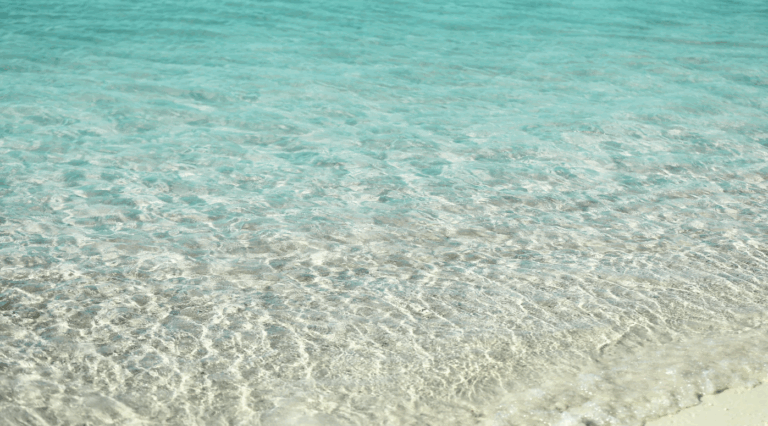 EEM Practitioner Banner 768x426