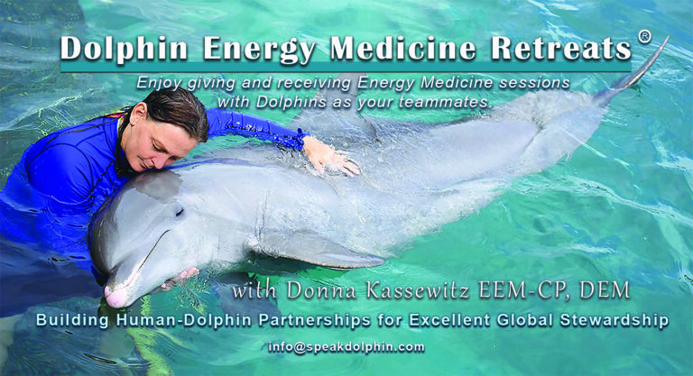 DEM BANNER 1 Donna Chadia 3120 1500x800px V2 copy 768x417